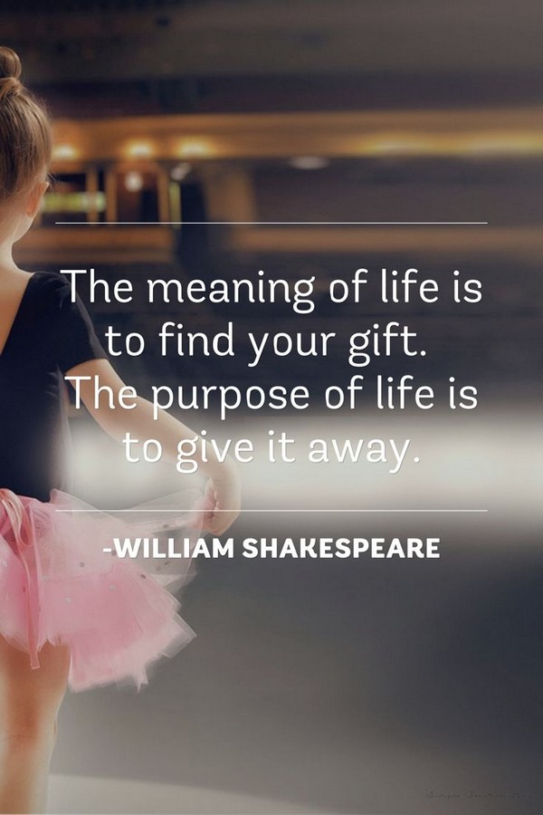 the-meaning-of-life-is-to-find-your-gift