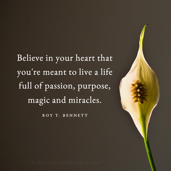 believe-in-your-heart-that-youre-meant-to-live-a-life-full-of-passion