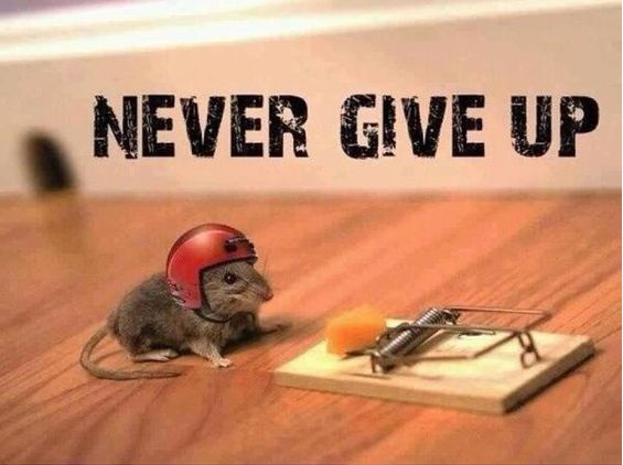 best-motivational-and-inspirational-never-give-up-quotes