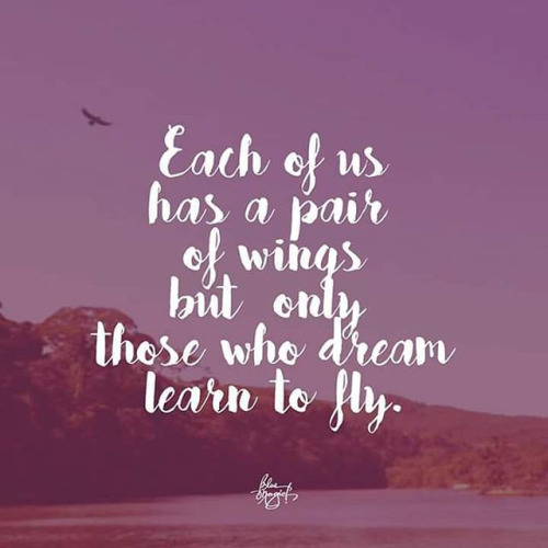 each-of-us-has-a-pair-of-wings-but