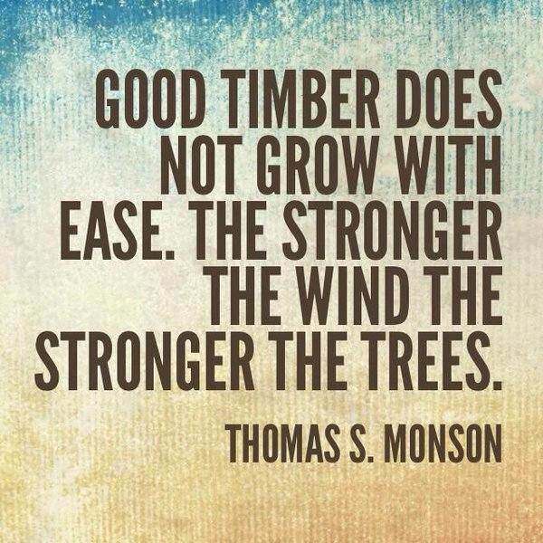 The stronger the wind the stronger the trees