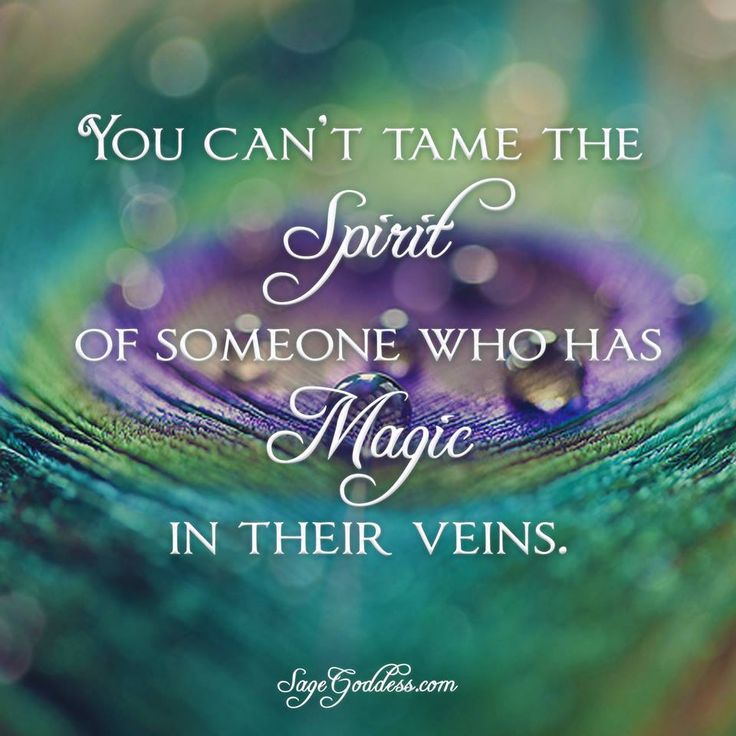 You cant tame the spirit of someone who has magic in their veins