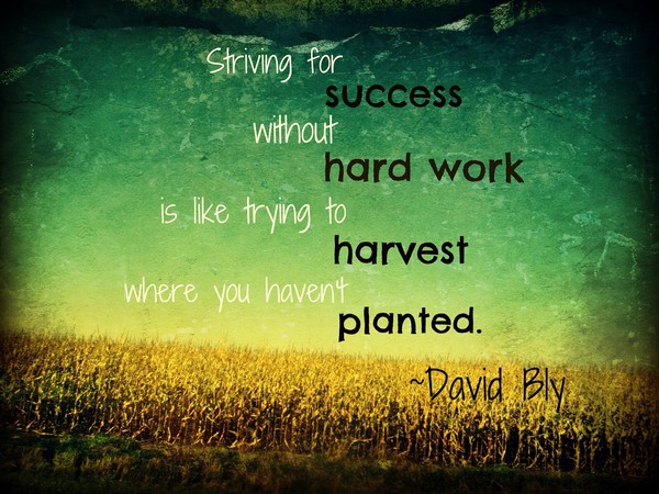 Striving for success without hard work is like trying to harvest where you haven’t planted.