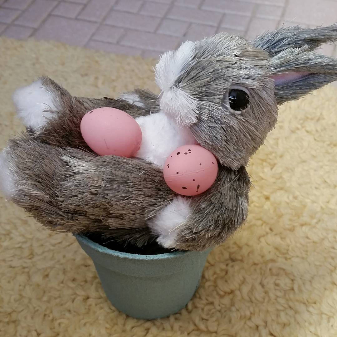 Amazing Easter Bunny Decor Ideas