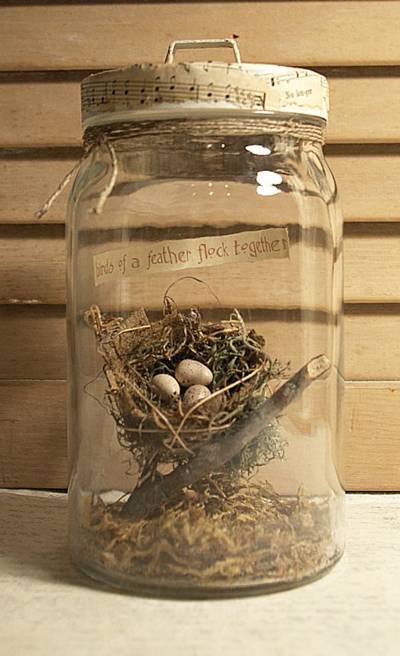 Bird's Nest in Glass Jar