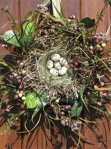 Bird's Nest....
