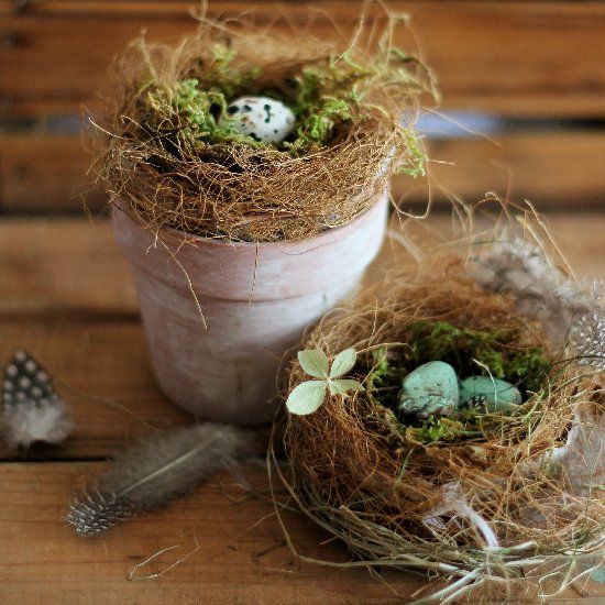 Realistic looking bird's nest using free materials from your garden. Perfect for Spring and Easter or your guestroom