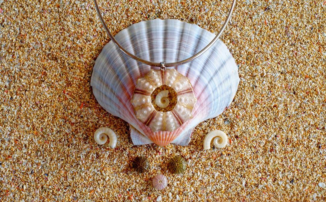 #beachjewellery #beachcombing #beachcraft #urchin #marine #beachglam #bohojewellery #boho #jewellery #seashells