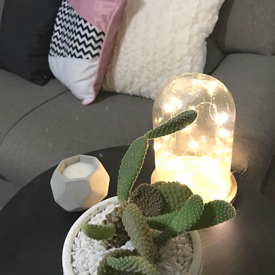 #cactus #stringlights #parceria #scandinavian #scandinaviandesign