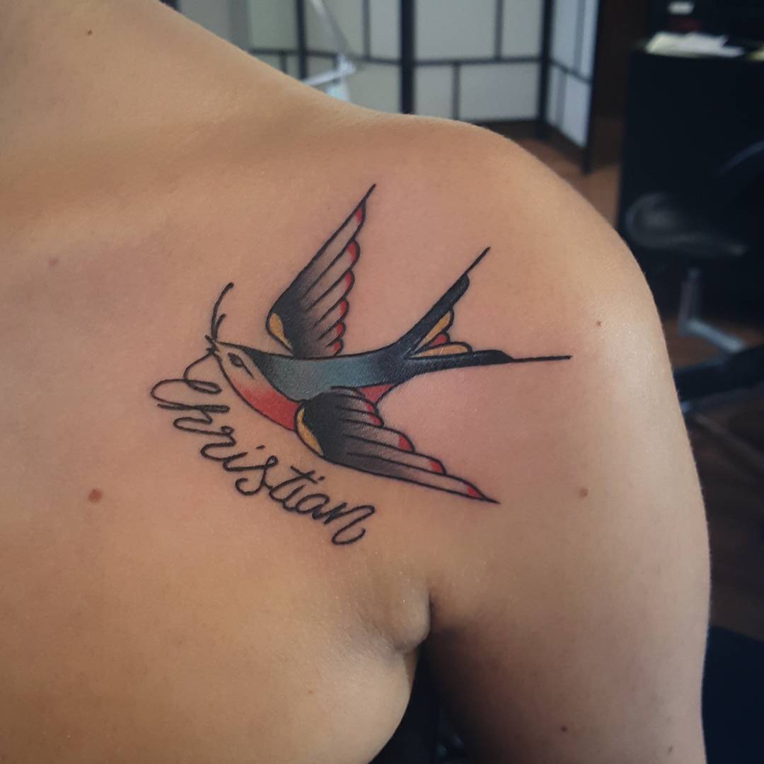 swallow