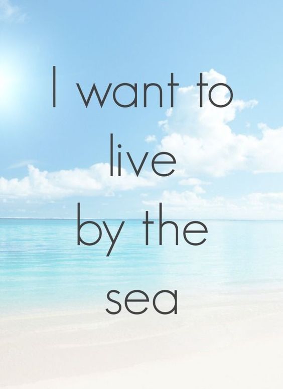 Live by the Sea