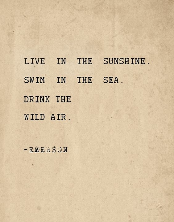 Live in the sunshine. Swim in the sea. Drink the wild air