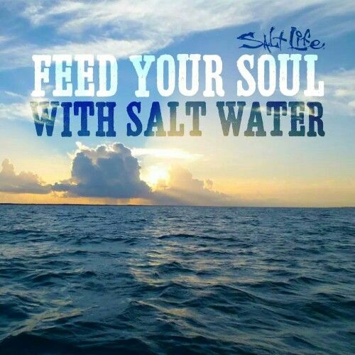 Salt water. Live The Salt Life.