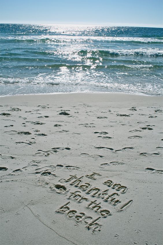 sandy beaches of Florida