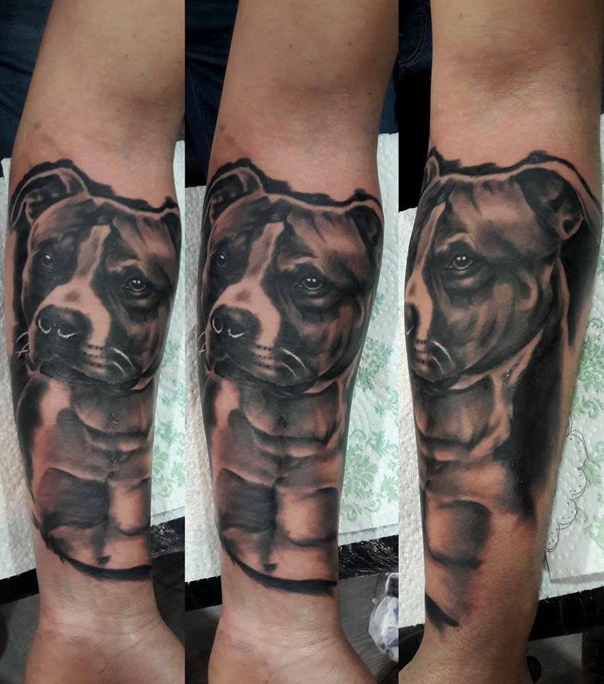 85+ Free Download Tattoo Simple Dog HD Tattoo Photos