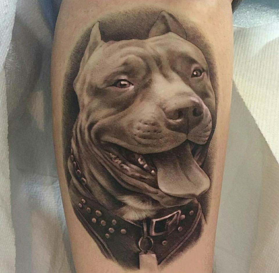 85+ Free Download Tattoo Simple Dog HD Tattoo Photos