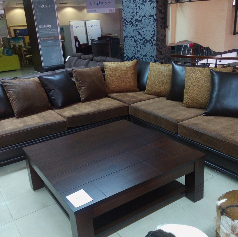 Elegant Sofa Set Idea