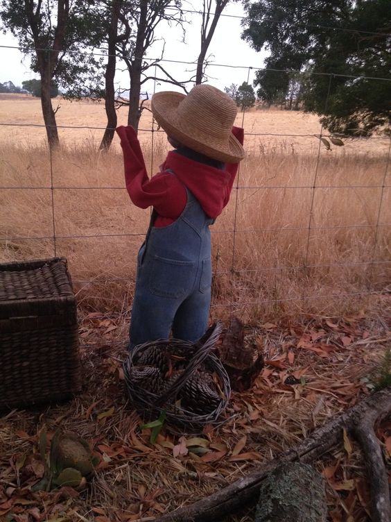 DIY Scarecrow