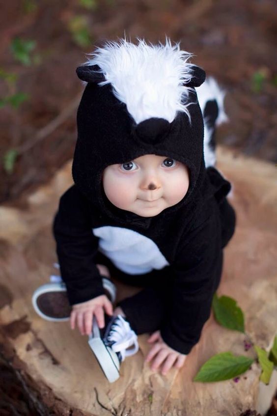 Adorable Pottery Barn baby skunk costume!