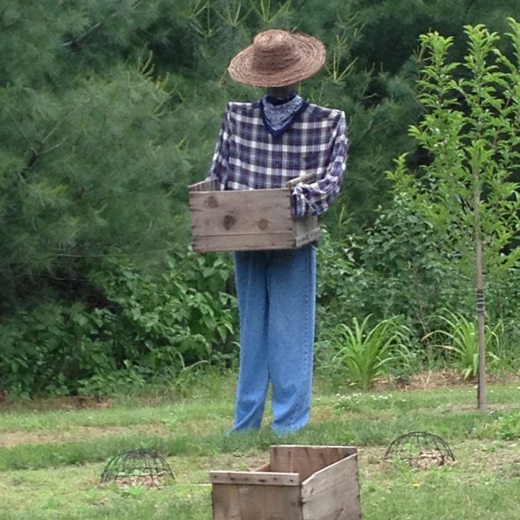 Apple pickin.