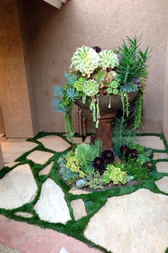 Create beautiful succulent arrangments in old fountains