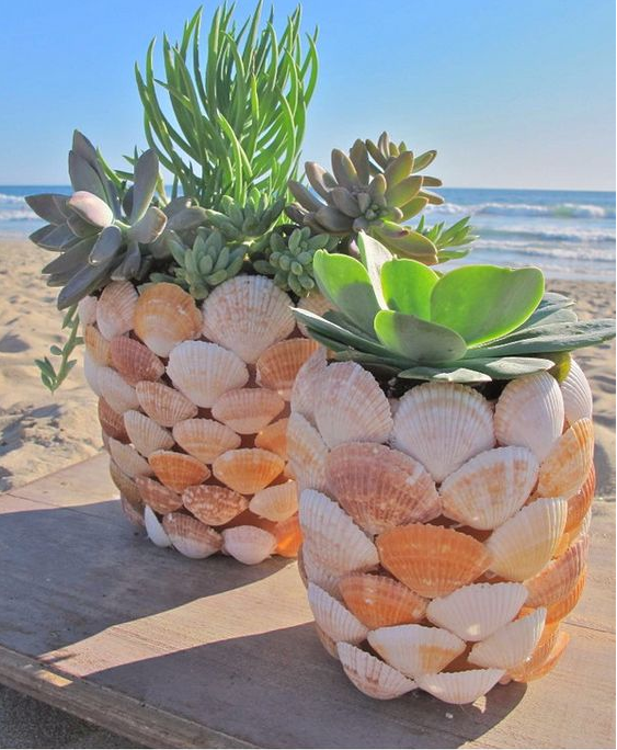 Creative Indoor And Outdoor Succulent Garden Ideas