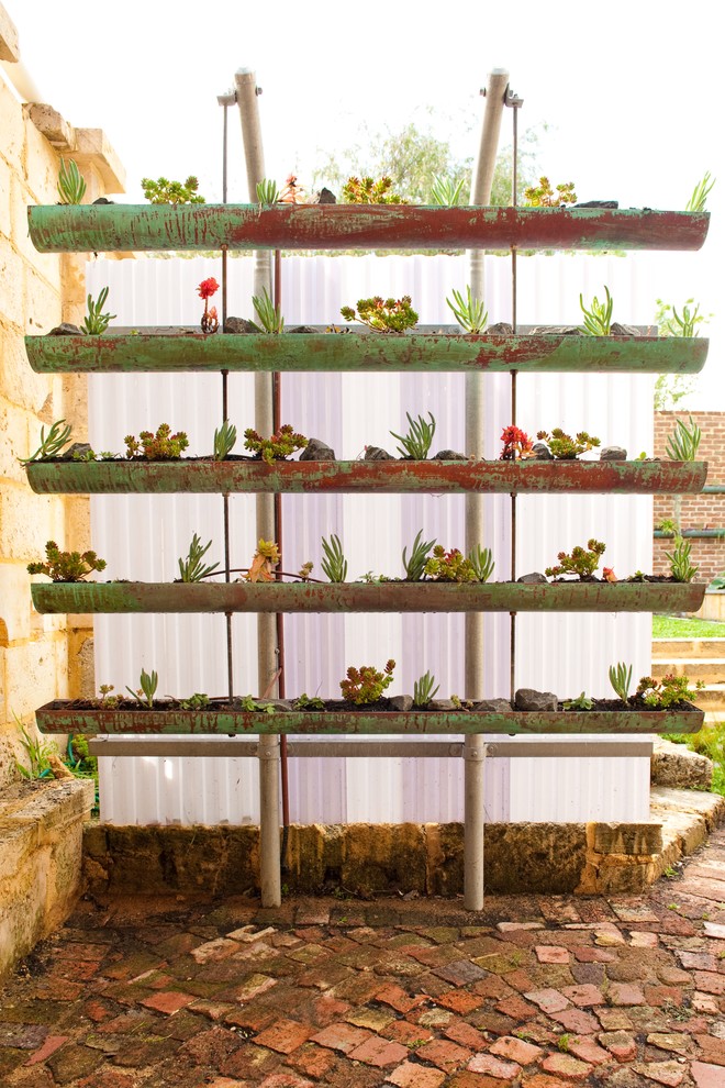 DIY gutter vertical garden full of succulents