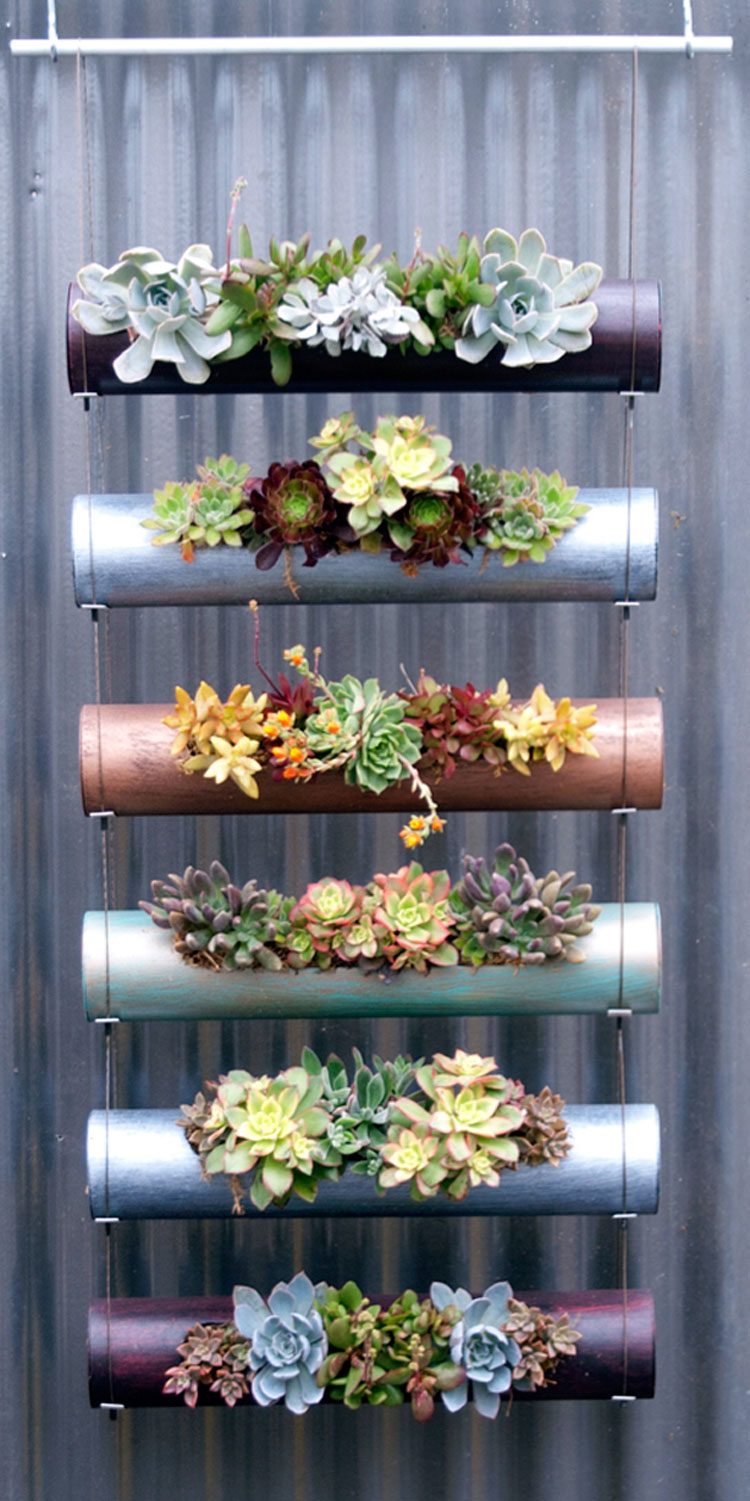 DIY succulent vertical garden made of standard PVC pipes