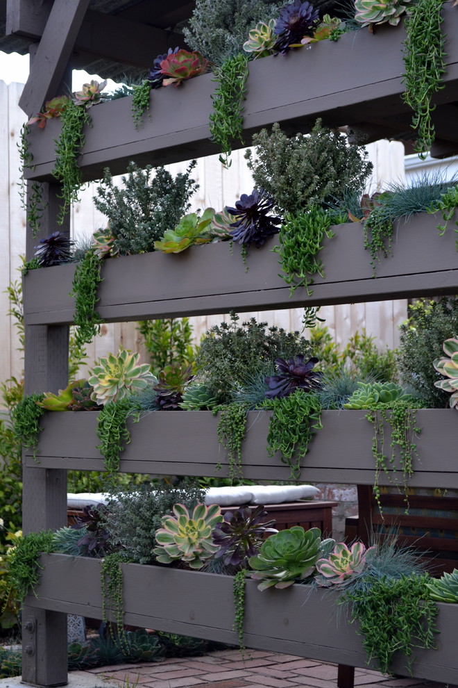 DIY vertical succulent wall