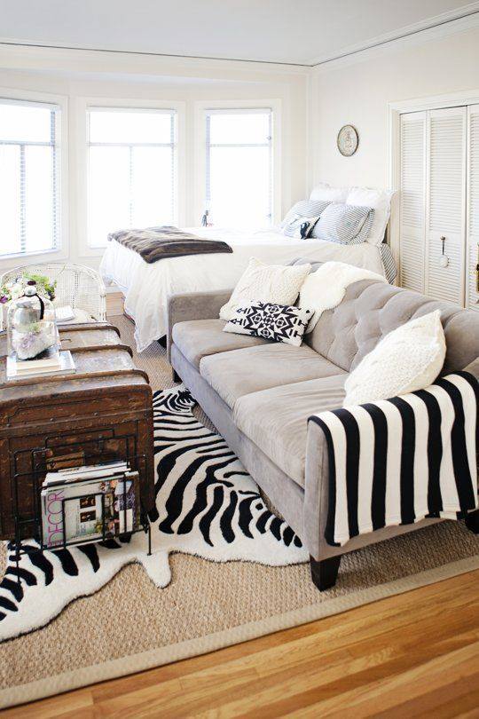 Dashing Studio Apartment With Rustic Table , Sofa & Zebra Print Roller