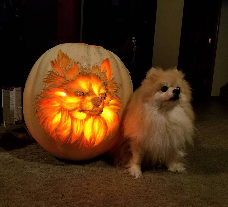 Dog Pumpkin Carving.