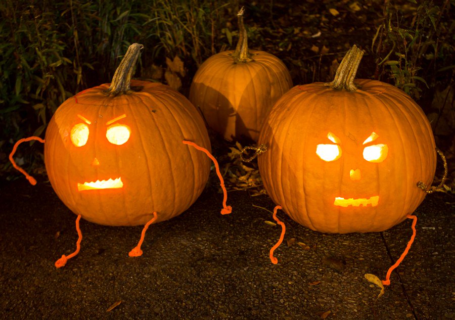 Halloween pumpkin carving.