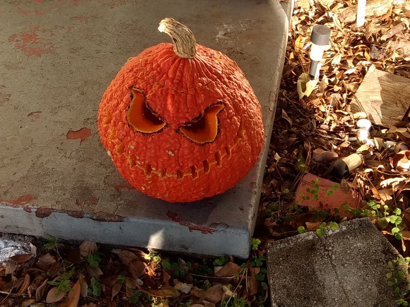Hand Carved Pumpkin