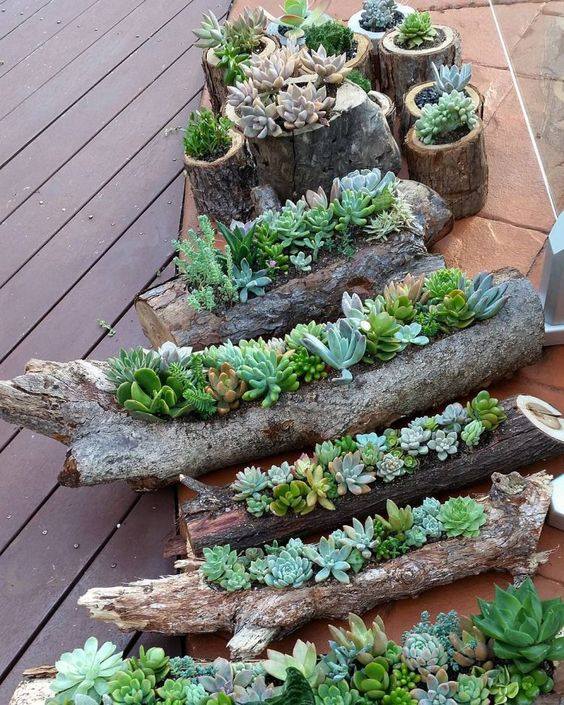 Outdoor Succulent Garden Ideas