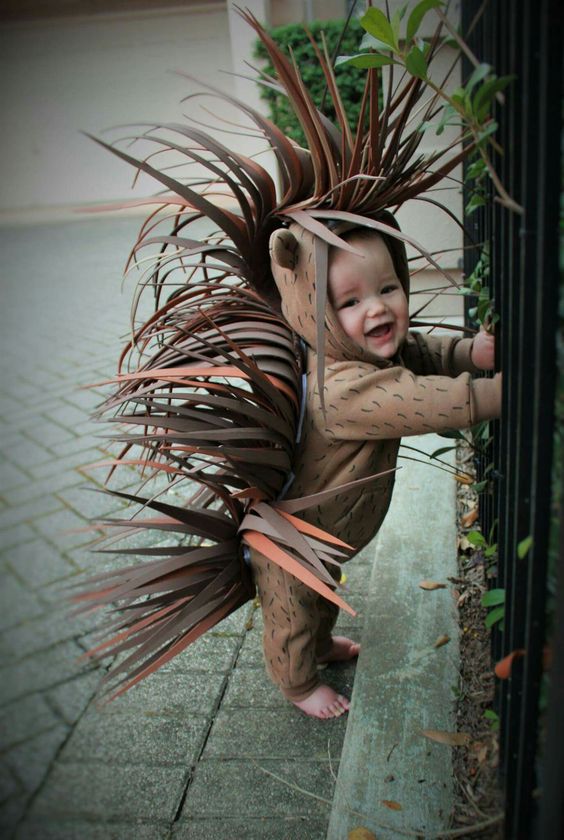 Porcupine halloween costume 2017