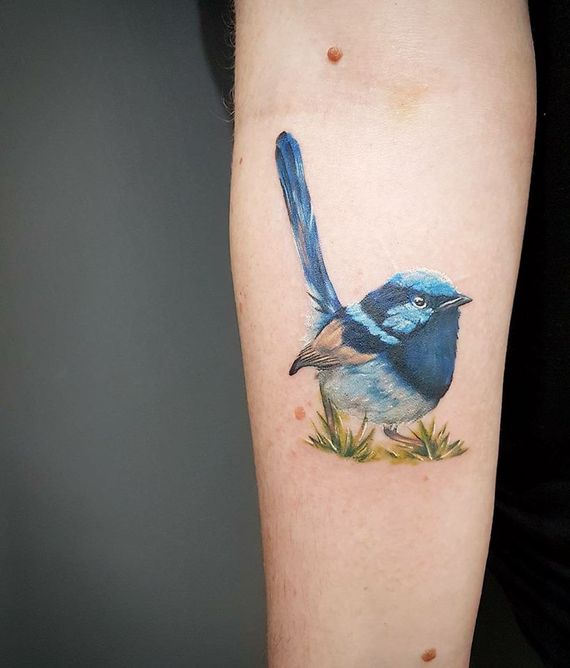 55 Cool Bird Tattoo Ideas That Are Truly in Vogue