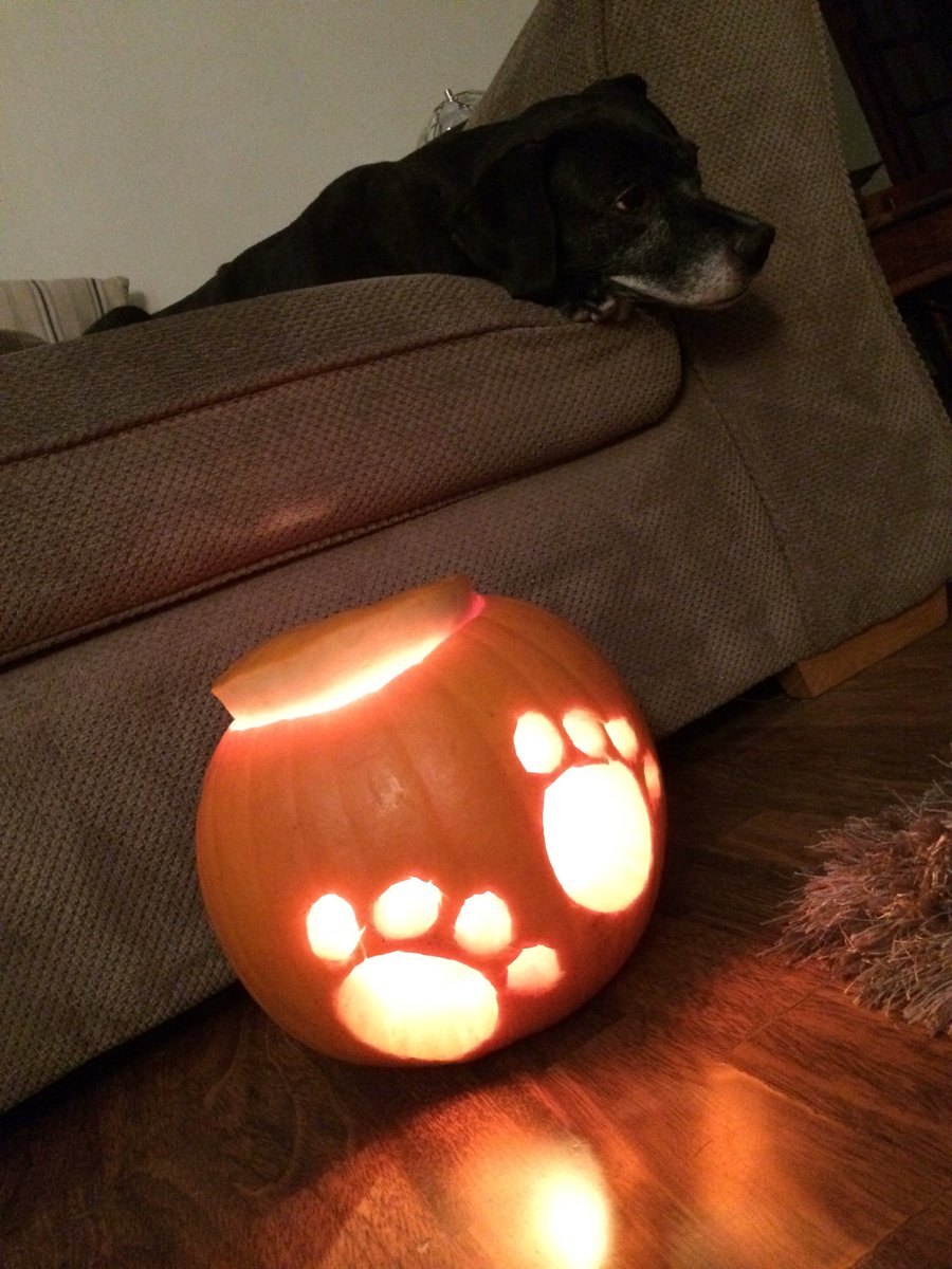 Storm inspired pumpkin carving.