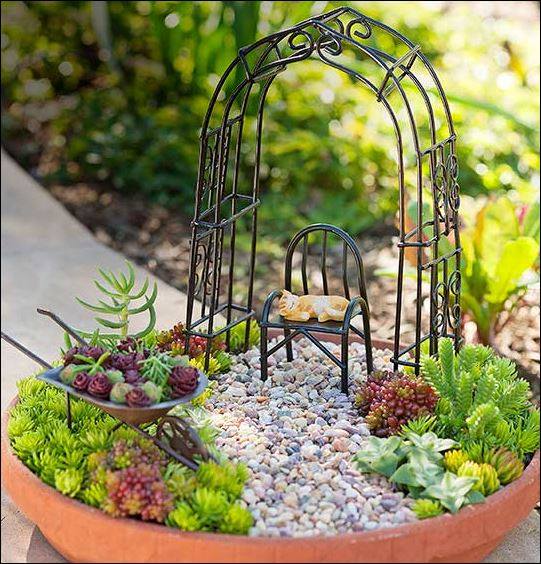 Summer is here. Enjoy the sun. DIY Miniature Succulent Garden