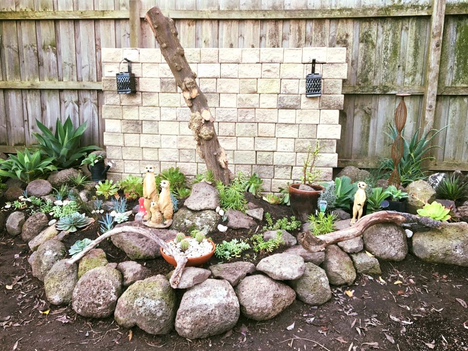 The Succulent & Australian Native Garden is finally completed, just need to add some bark on the rest of the whole backyard to finishing off.