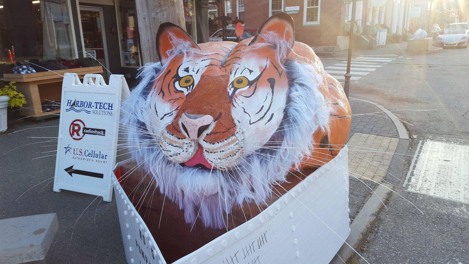 The decoration of this giant pumpkin is just grrrrreat.