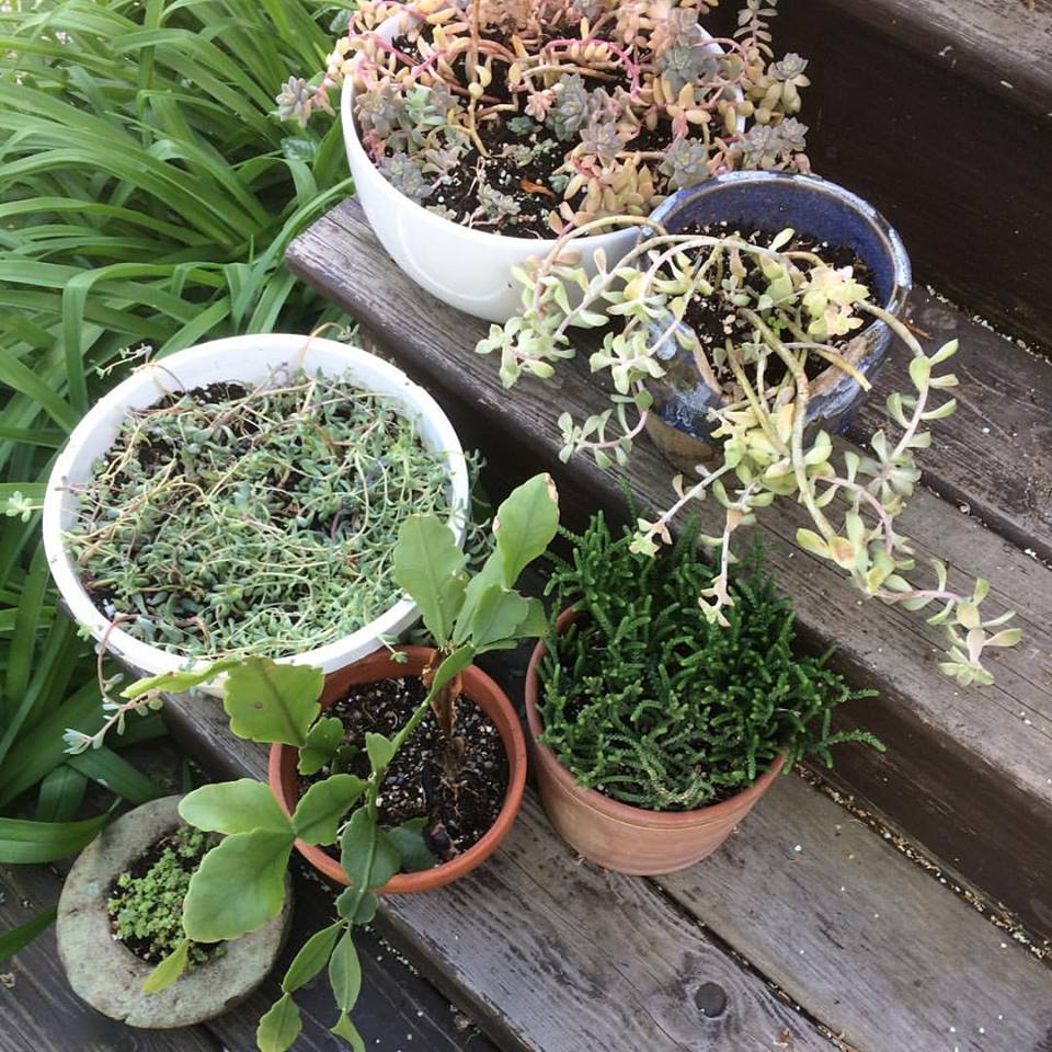 These babes ventured outside this weekend and seem to be loving it!