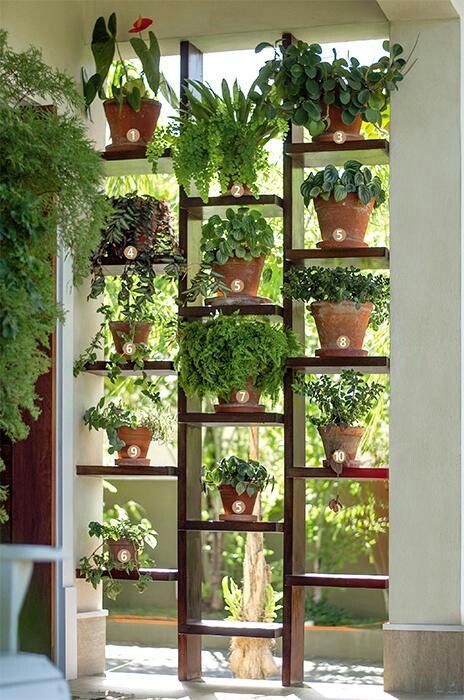 Beautify Your Walls With DIY Wall Container Gardening Projects