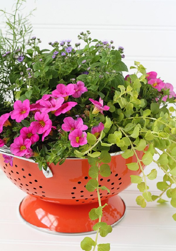 Colander Planter