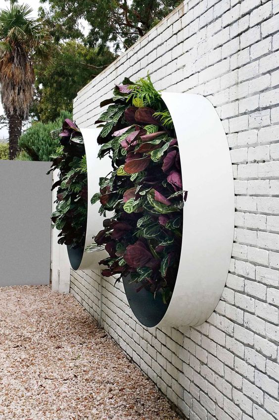 Creative & inspiring vertical gardens.