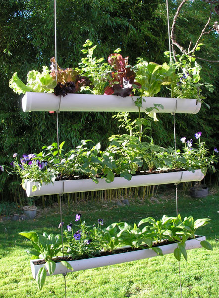 50+ Enchanting Indoor Herb Garden Ideas That Are ...