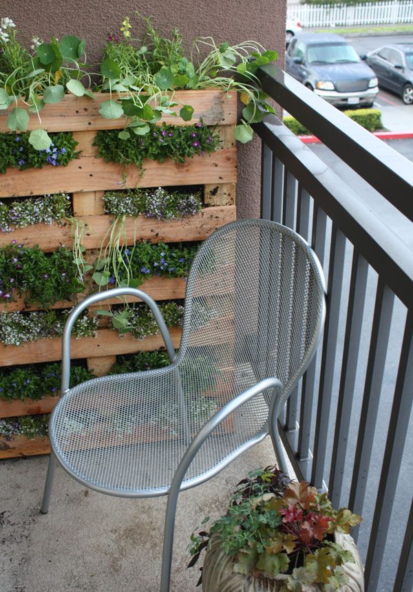 DIY Vertical Pallet Garden on the Balcony