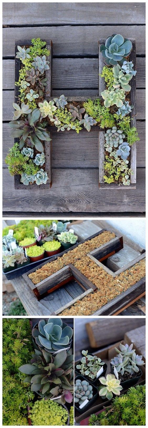 DIY Wall-Mounted Succulent Letter.