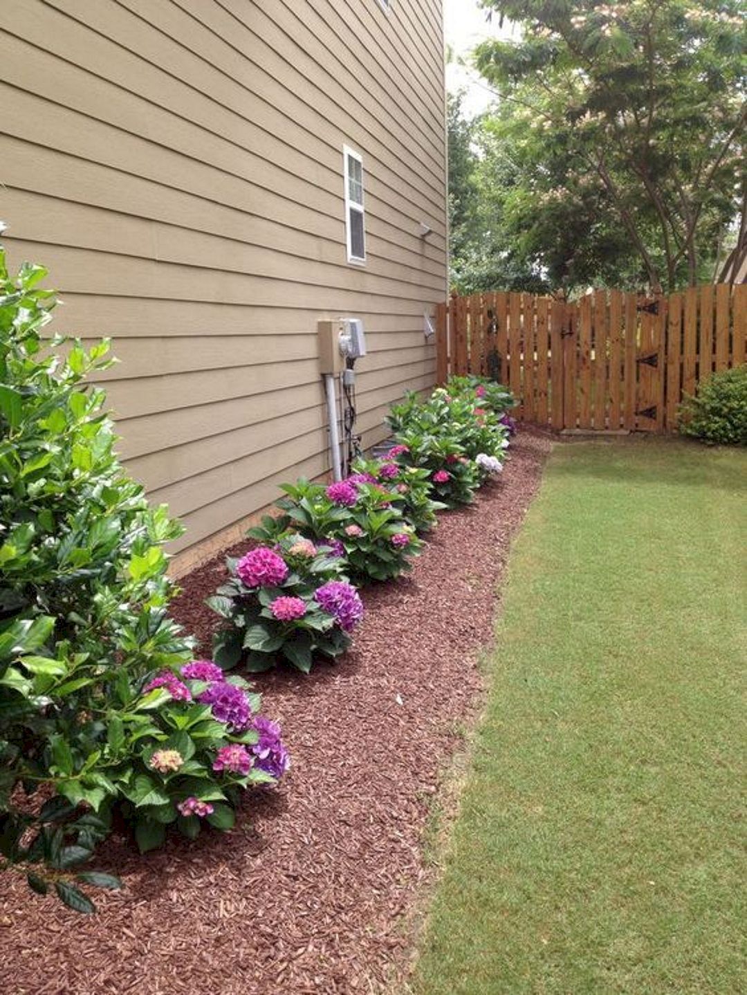 Gorgeous and Pretty Backyard Garden