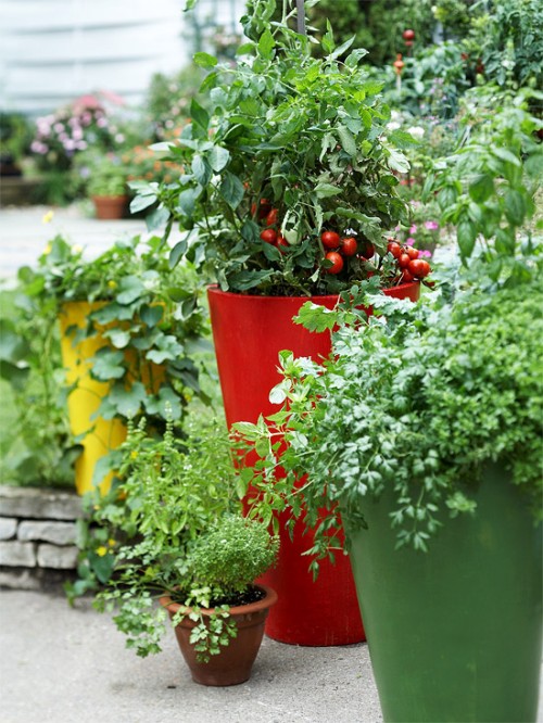 Herbs And Vegetables In Modern Planters Of Different Heights
