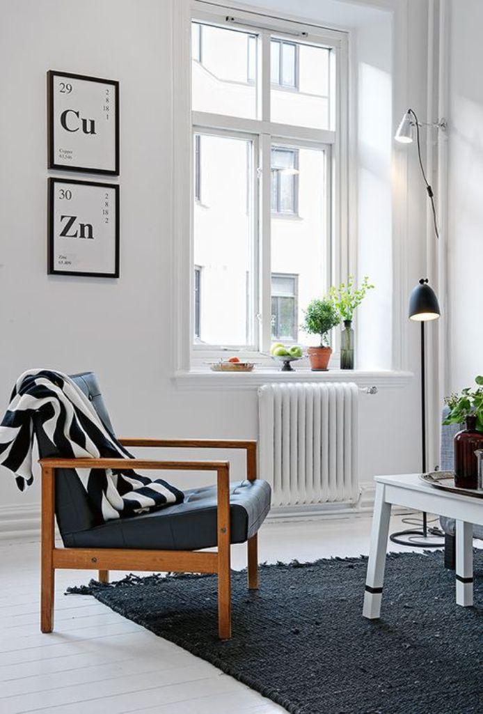 High Contrast Scandinavian Living Room